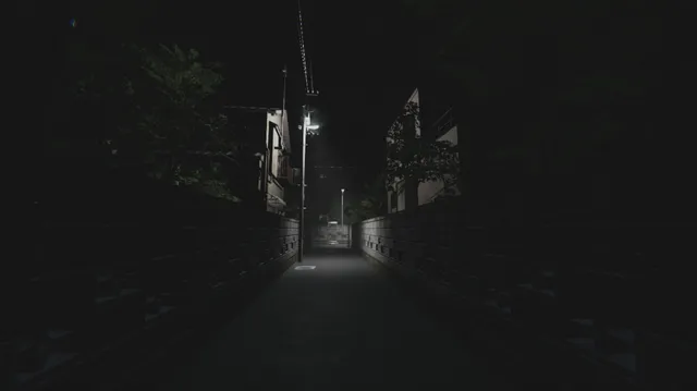 A narrow lane between block walls at night in a Japanese residential area, lit by one street lamp