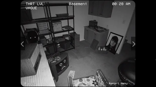 Alternate Watch screenshot: a basement camera showing shelves, boxes and a framed portrait propped against a cabinet