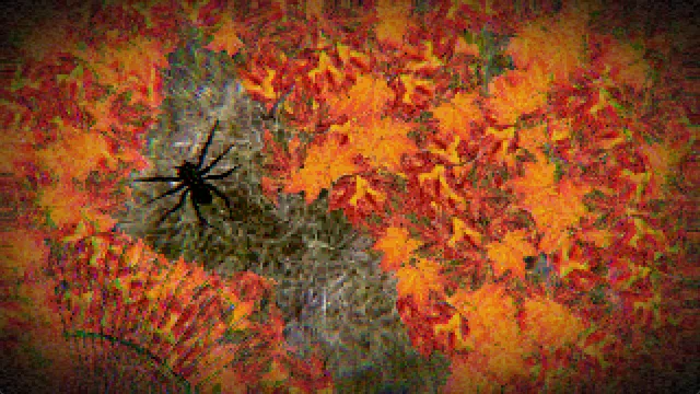 A large black spider on a cleared patch of ground among grainy, distorted red and orange leaves