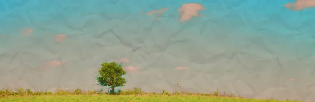 Anemoiapolis key art: a lone green tree on a grassy field under a blue sky that looks like crumpled paper