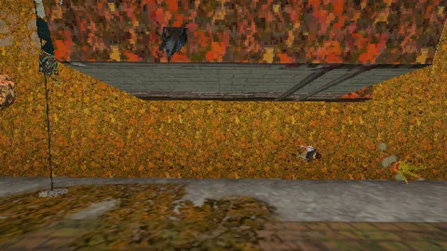 The garden in autumn, covered in orange fallen leaves, seen from low down