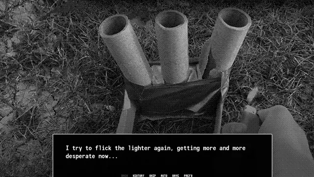 CANIDAE: a hand with a lighter over a box of firework tubes on the grass, in grainy black and white