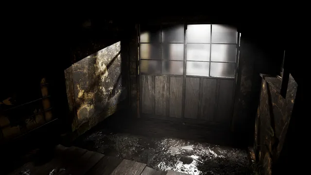 A wet, rotting entrance hall of a derelict house with a sliding door of frosted glass