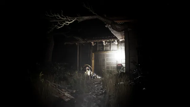 A flashlight picks out the overgrown gate of an old house under a bare tree at night