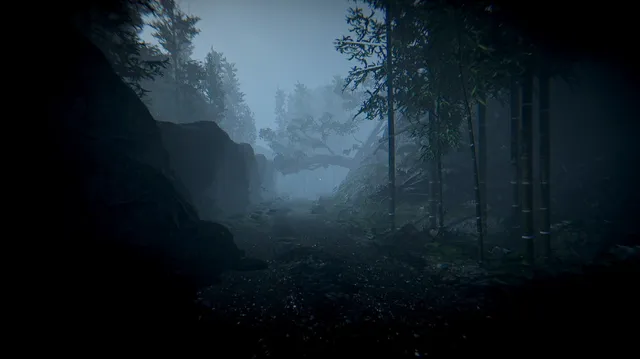 A path through misty bamboo woods and rocks at dusk