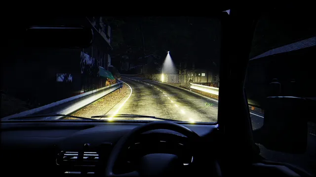 From the driver's seat, headlights light a winding mountain road at night