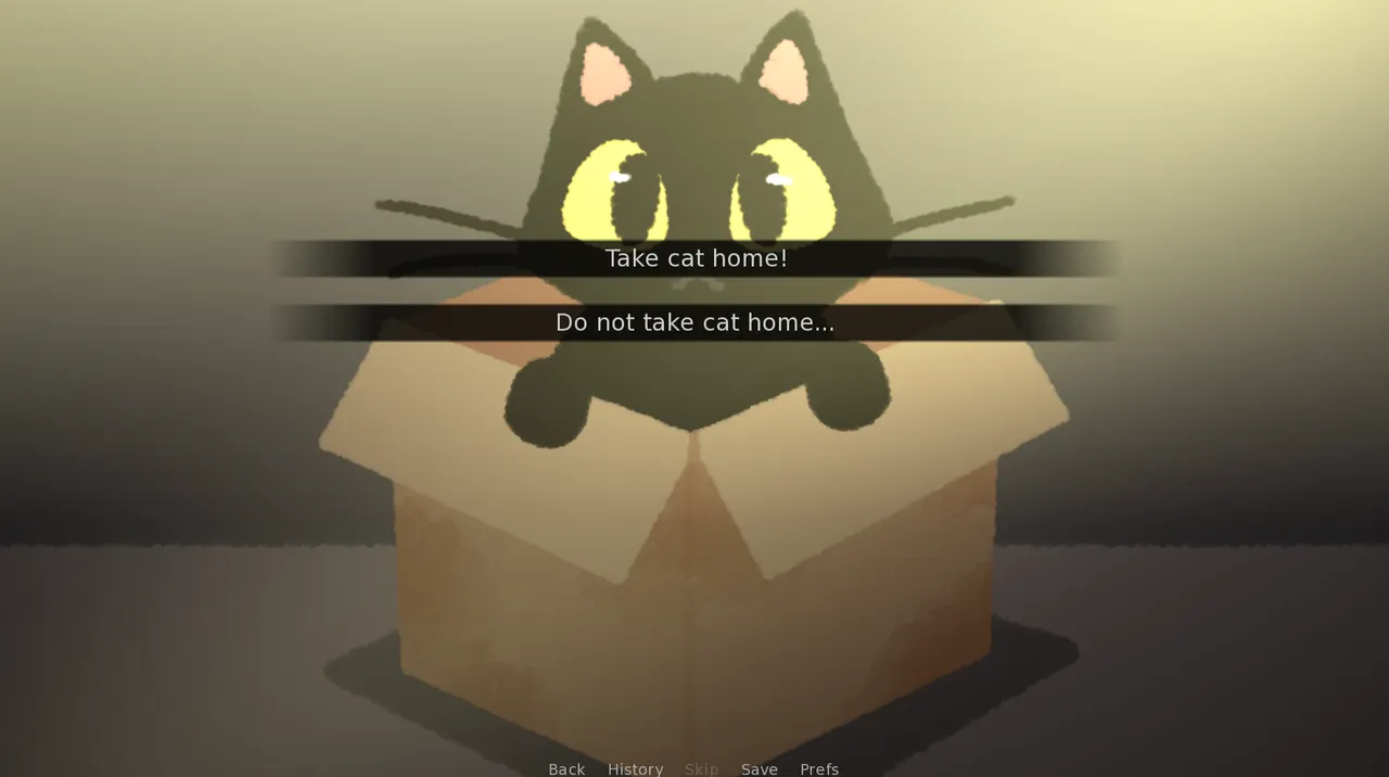 The cat in its box in the alley with two choices on screen: Take cat home or Do not take cat home