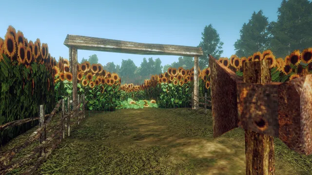 A wooden gate opening onto a path between tall sunflower fields on a sunny day