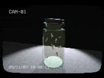 flies in a jar screenshot: grainy CCTV footage labelled CAM-01 of a glass jar full of flies under a spotlight