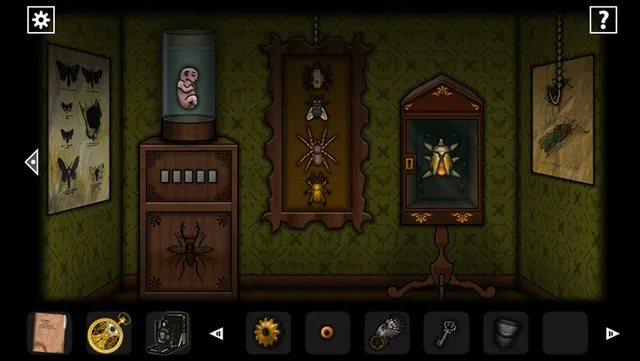 A museum room of pinned insects and spiders, with a foetus floating in a glass jar