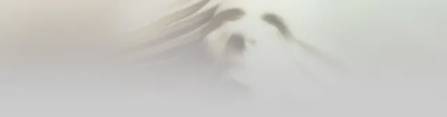Gabriel Knight 2 key art: the faint grey shape of a snarling wolf's head emerging from white mist