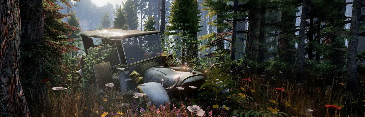 Gray Dawn: an old 1920s car abandoned among ferns and wildflowers in a misty pine forest