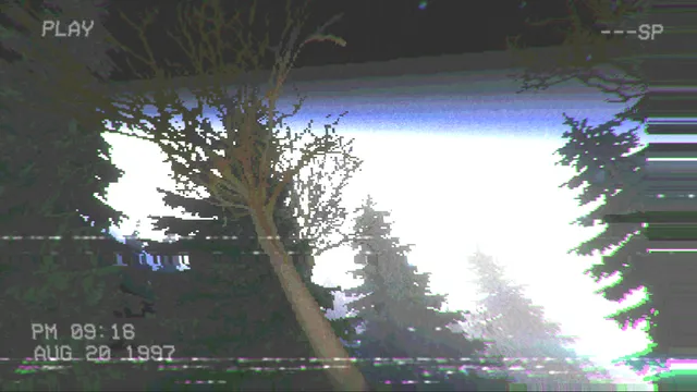 Incident at Grove Lake screenshot: camcorder footage of a blinding white light behind the trees at night, Aug 20 1997