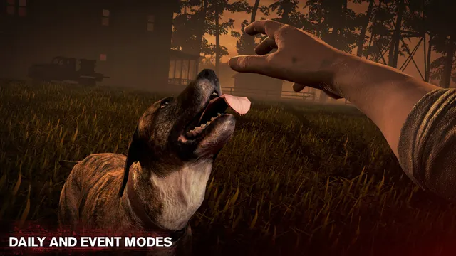 Into the Dead 2 screenshot: the player reaches out to pet a dog companion in a dark field