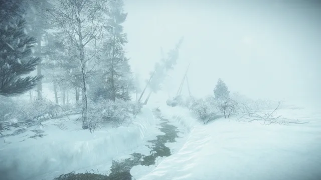 A frozen creek between snow-covered trees in a whiteout