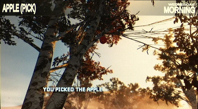 Picking a red apple from a tree in autumn sunlight, captioned Wednesday Morning