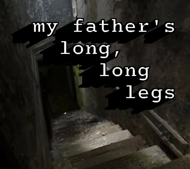 my father's long, long legs cover: worn stone steps lead down into a dark basement under the title in typewriter letters