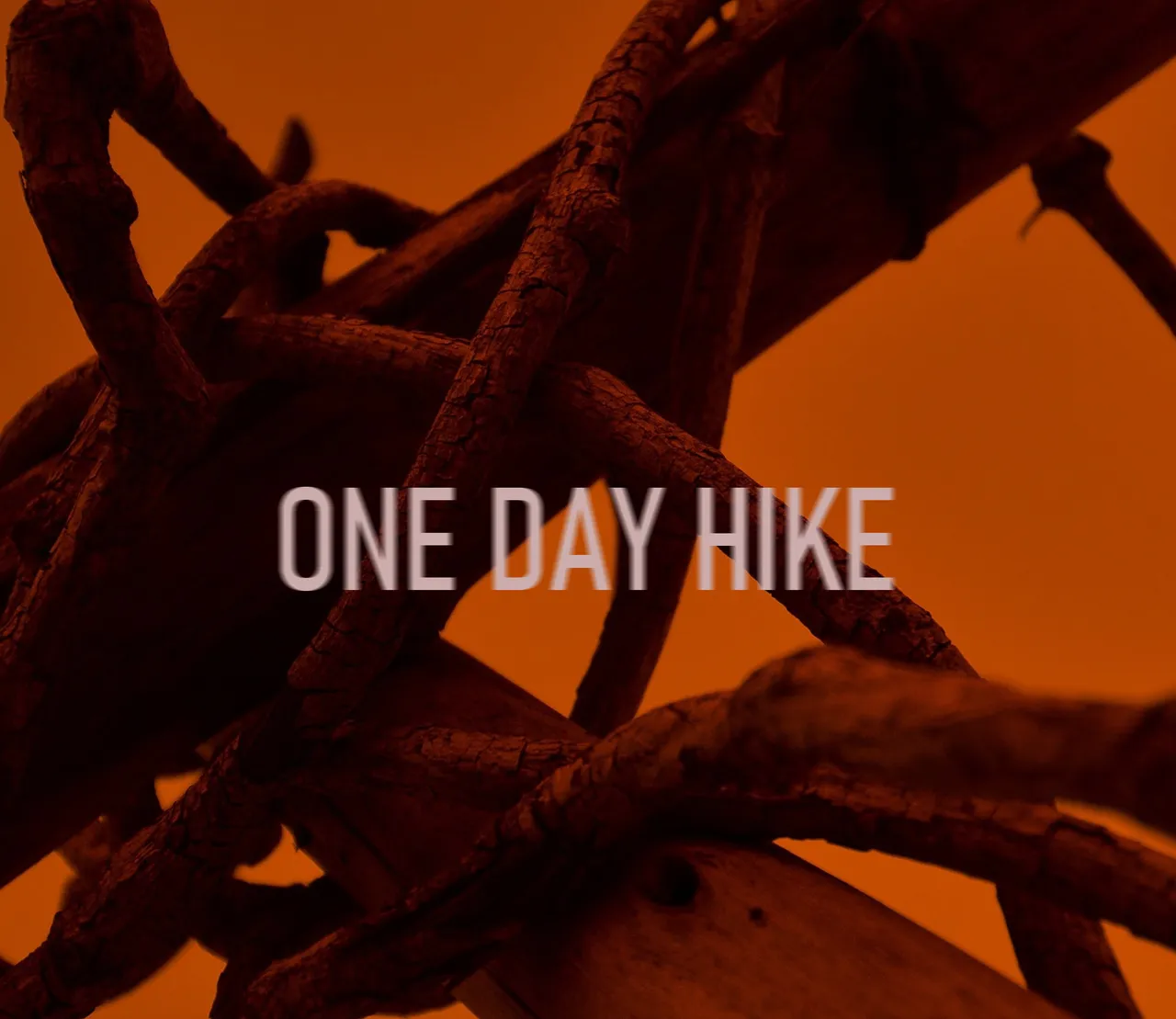 ONE DAY HIKE cover: twisted, cracked branches against an orange sky, with the title in pale letters