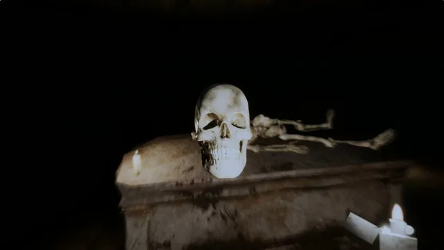 Palmyra Orphanage: a skull and bones on a table in candlelight