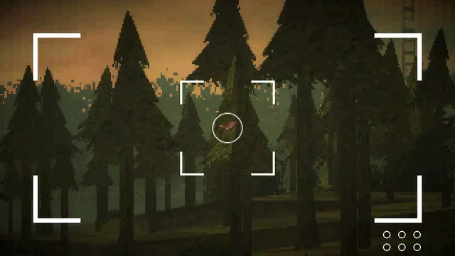 Looking through a camera viewfinder at a red bird among dark pine trees