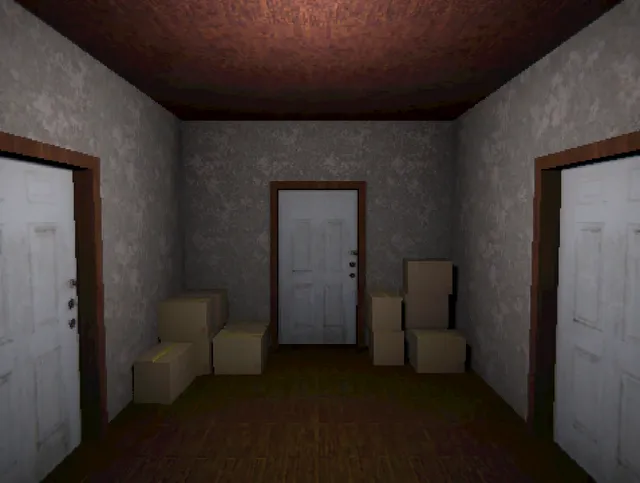 Peter's House screenshot: a dim hallway of white doors with cardboard boxes stacked on both sides