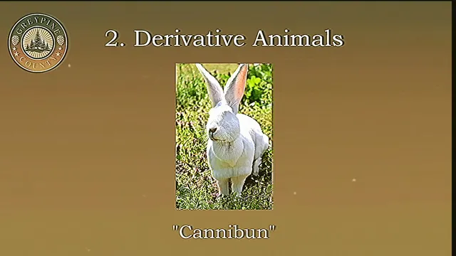 Record of Greypine VHS tape: a grainy Greypine County slide titled Derivative Animals showing a white rabbit called Cannibun
