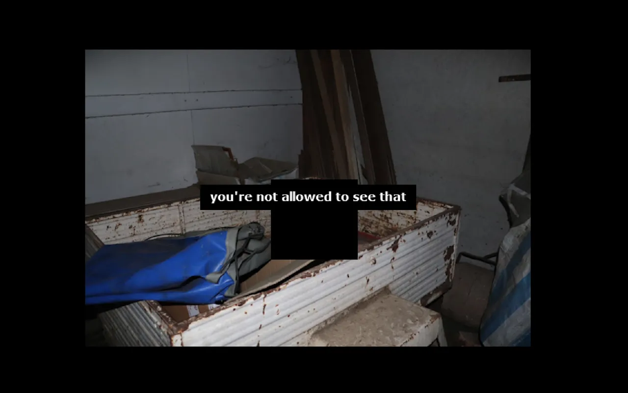 ROAM0120.exe screenshot: a flash photo of a rusted metal container and a blue tarp in a shed, with part of it blacked out under the words you're not allowed to see that