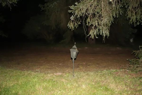 ROAM0120.exe cover: a night photograph of a lone garden lamp on grass under dark trees