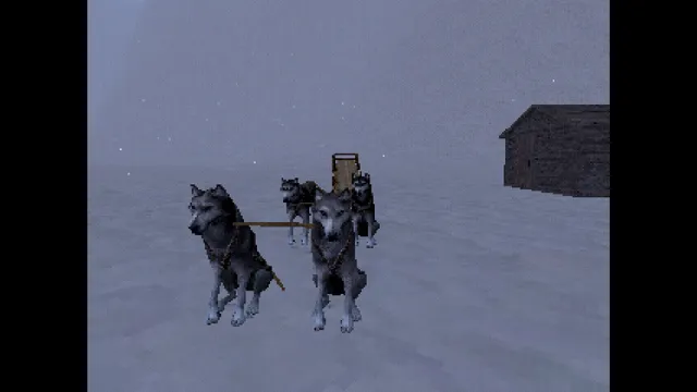 Four grey sled dogs in harness on the snow beside a dark wooden cabin