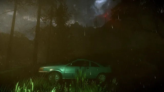 A car abandoned in tall grass in a dark, rainy forest