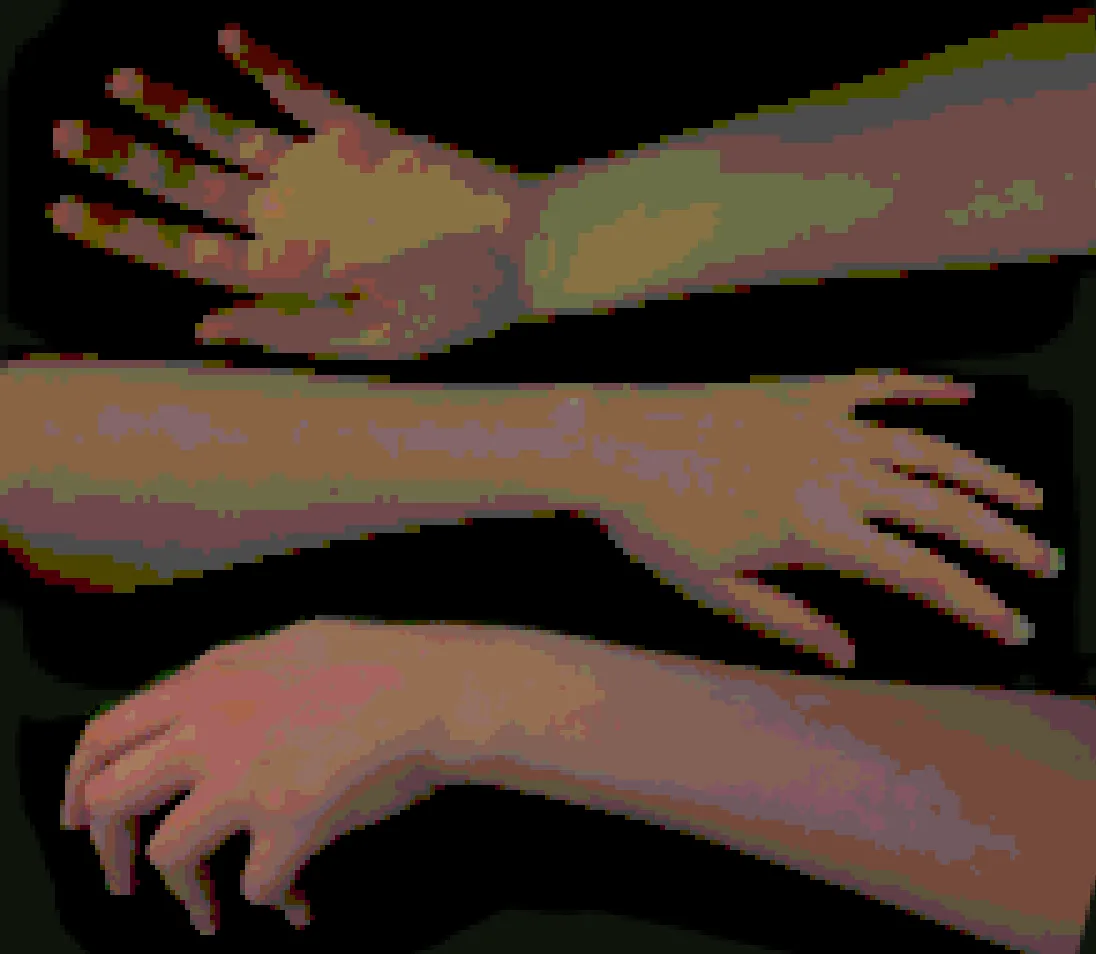The Body Monstrous cover: pixelated photos of bare arms and hands reaching across a dark background, the title written on the skin