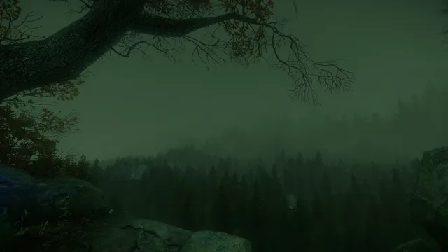 A view over a fog-filled valley of dark pines from beneath a bare branch