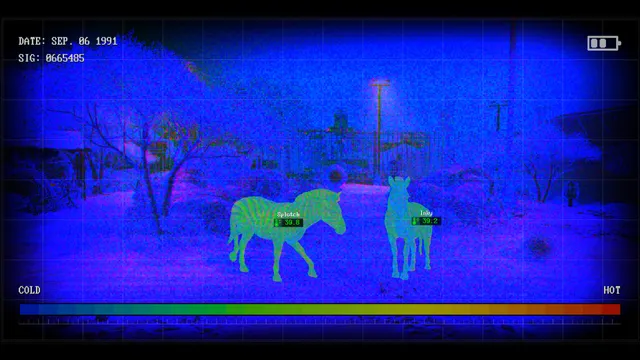 Zoochosis screenshot: a thermal camera view dated Sep 06 1991 shows two zebras with their temperatures