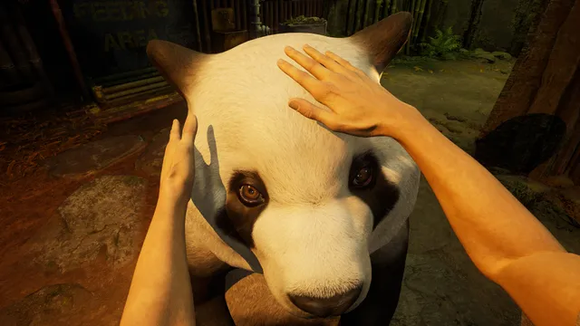 Zoochosis screenshot: first-person hands patting a panda's head in its feeding area